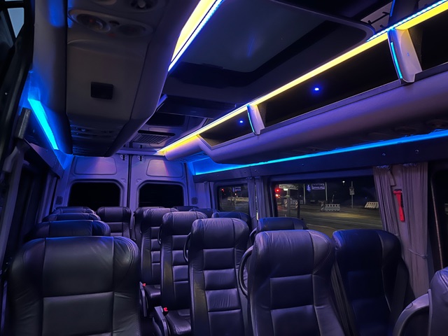 VIP minibus